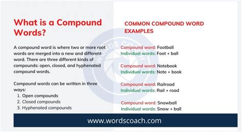 different kinds of fish|Types and List of 1000+ Compound Words in English .